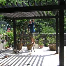 羅區碧菌頤養院景觀工程